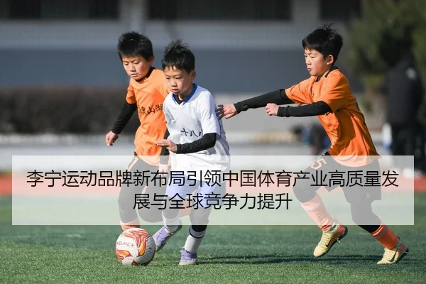 li-ning-yun-dong-pin-pai-xin-bu-ju-yin-ling-zhong-guo-ti-yu-chan-ye-gao-zhi-liang-fa-zhan-yu-quan-qiu-jing-zheng-li-ti-2-478.jpg