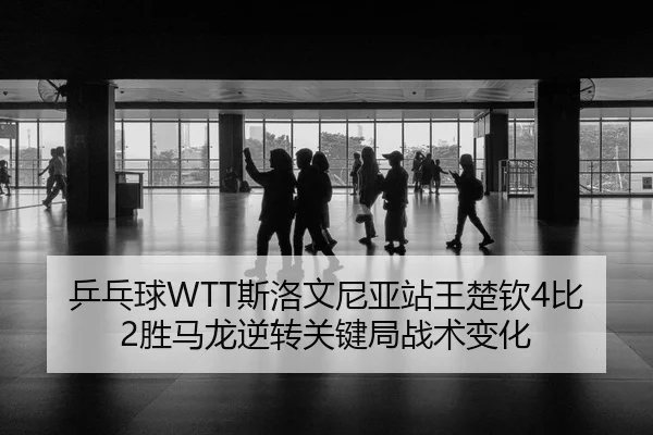 ping-pang-qiu-si-luo-wen-ni-ya-zhan-wang-chu-qin-bi-sheng-ma-long-ni-zhuan-guan-jian-ju-zhan-shu-bian-hua-3-997.jpg