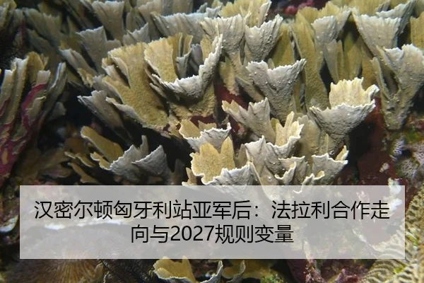han-mi-er-dun-xiong-ya-li-zhan-ya-jun-hou-fa-la-li-he-zuo-zou-xiang-yu-gui-ze-bian-liang-3-838.jpg